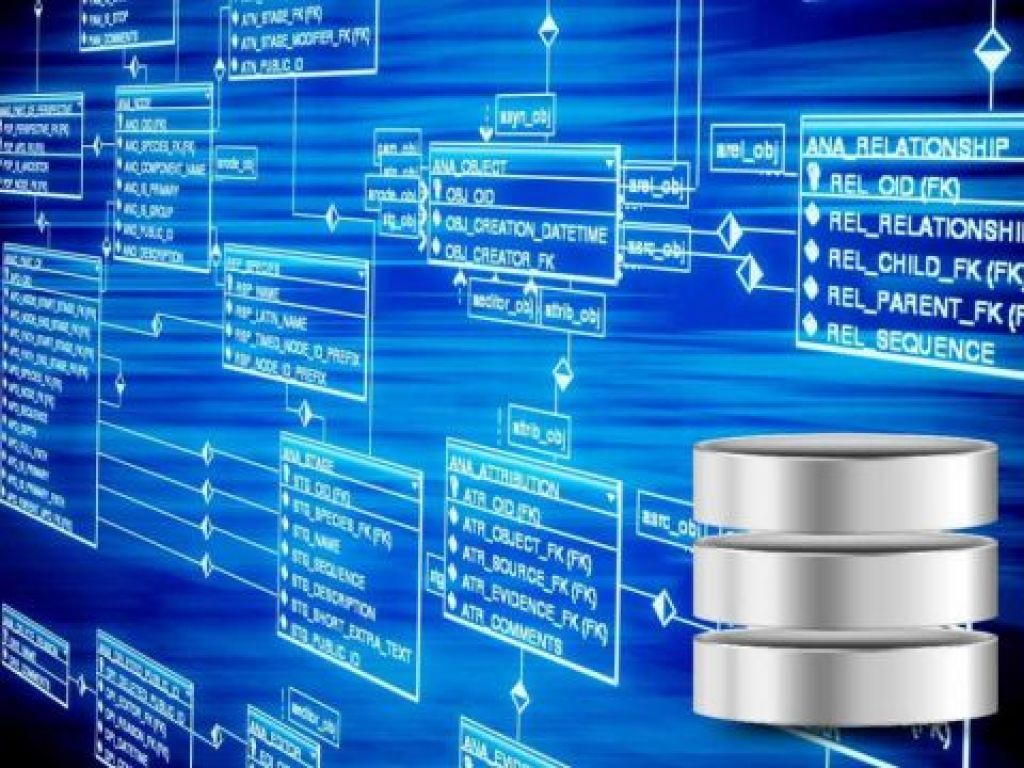 MySQL Data type